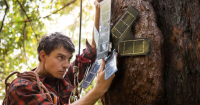 Vecchi cellulari usati per combattere la deforestazione e il bracconaggio: ecco la tecnologia usata per tutelare le foreste