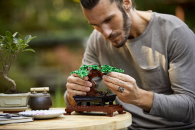 L'albero bonsai LEGO fa parte della nuova collezione botanica per gli amanti della natura