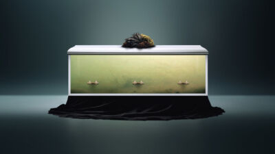 Con il funerale di un fiordo danese Greenpeace invita a riflettere sulla salute dei mari e del Pianeta
